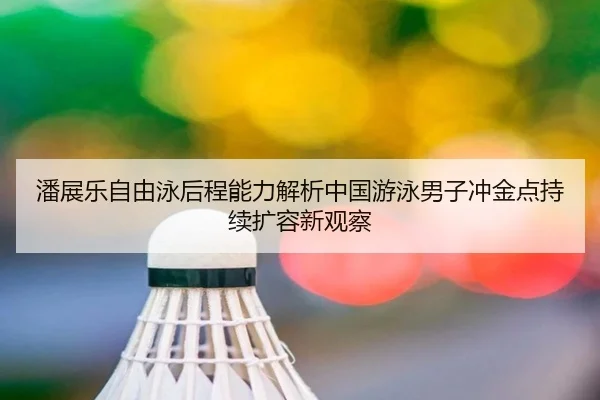 pan-zhan-le-zi-you-yong-hou-cheng-neng-li-jie-xi-zhong-guo-you-yong-nan-zi-chong-jin-dian-chi-xu-kuo-rong-xin-guan-cha-2-439.jpg